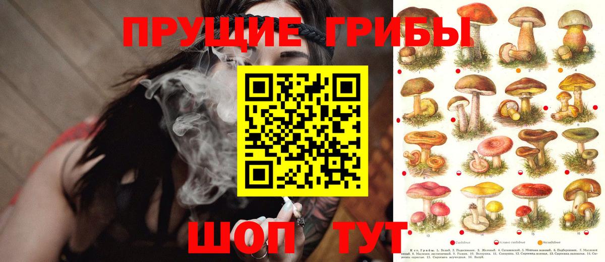 Галлюциногенные грибы ЛСД  Вход с VPN  Канаш 